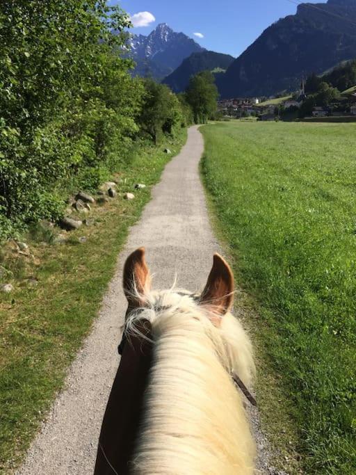 Ferienhaus Zillertal Panorama Blick Balkon Sauna Zellberg Eksteriør bilde